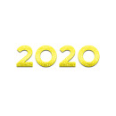 2020 jahr