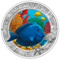 Österreich 3 Euro Münze 2024 - Lebendiges Meeresleben - Blauer Doktorfisch