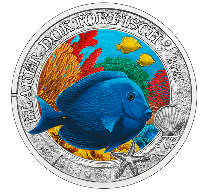 Österreich 3 Euro Münze 2024 - Lebendiges Meeresleben - Blauer Doktorfisch