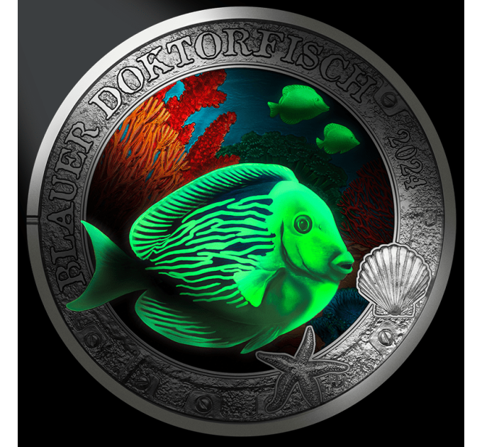 Österreich 3 Euro Münze 2024 - Lebendiges Meeresleben - Blauer Doktorfisch