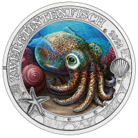 Österreich 3 Euro Münze 2024 - Lebendiges Meeresleben - Hawaiianischer Bobtail-Tintenfisch
