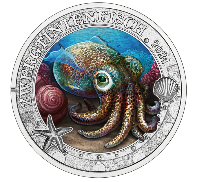 Österreich 3 Euro Münze 2024 - Lebendiges Meeresleben - Hawaiianischer Bobtail-Tintenfisch