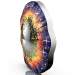 Österreich 20 Euro Silbermünze 2024 – Das unerforschte Universum – Supernova