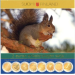 Finnland 2-Euro-BU Münzen-Set 2004–2009