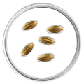 Lettland 15 Euro Gold PP 2026 – Goldene Samen