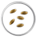 Lettland 15 Euro Gold PP 2026 – Goldene Samen