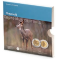 Luxemburg 5 Euro Silber Proof 2025 – Fauna und Flora – Europäisches Reh