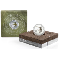 Portugal 5 Euro Silber proof 2023 –  Miragaia longicollum