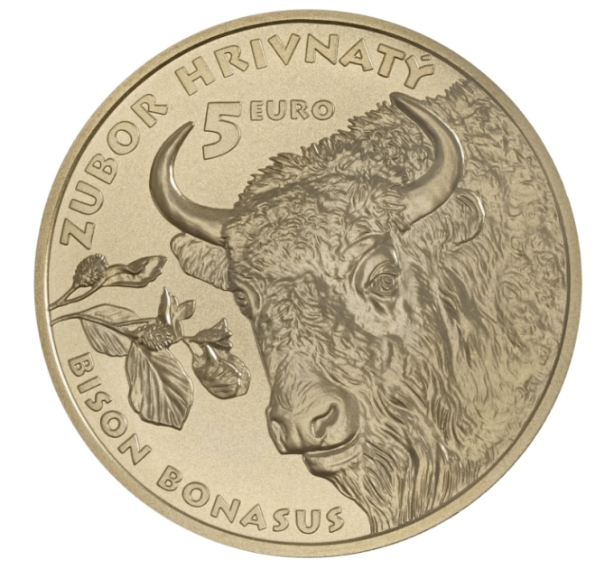 Slowakei 5 Euro UNC 2024 – Fauna und Flora in der Slowakei – Der Europäische Wisent
