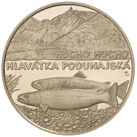 Slowakei 5 Euro UNC 2025 – Fauna und Flora in der Slowakei – Donaulachs