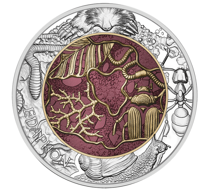 Österreich 25 Euro Silber-Niob-Münze 2024 - Edaphon