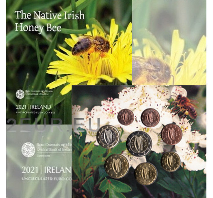 Irland euro set BU 2021 – Die einheimische irische Honigbiene