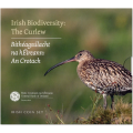 Irland euro set BU 2024 – Biodiversität – Der Brachvogel