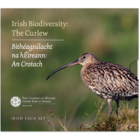 Irland euro set BU 2024 – Biodiversität – Der Brachvogel