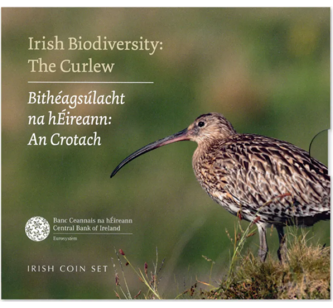Irland euro set BU 2024 – Biodiversität – Der Brachvogel
