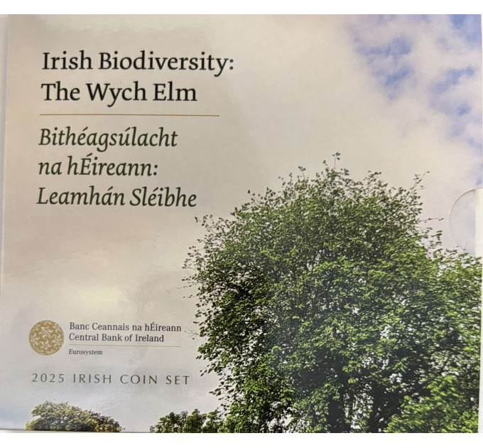 Irland euro set BU 2025 – Biodiversität - die Bergulme