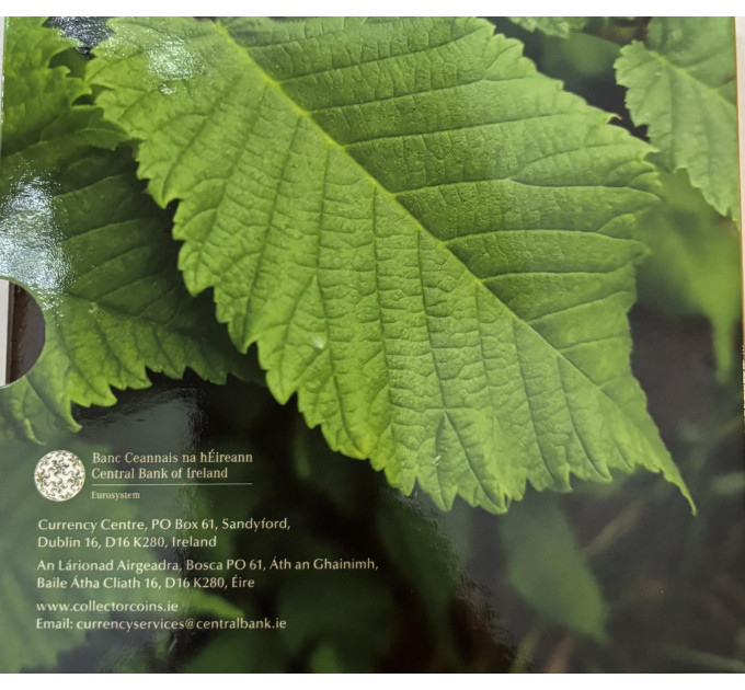 Irland euro set BU 2025 – Biodiversität - die Bergulme