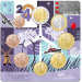 Niederlande Euro-Münzsatz UNC 2024